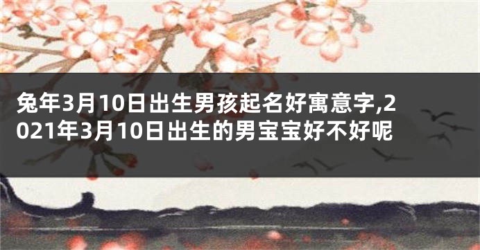 兔年3月10日出生男孩起名好寓意字,2021年3月10日出生的男宝宝好不好呢