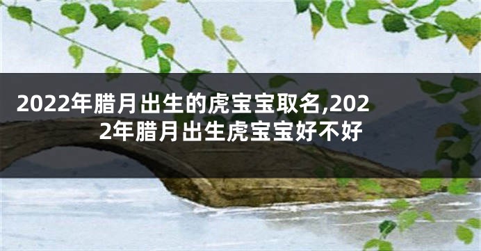 2022年腊月出生的虎宝宝取名,2022年腊月出生虎宝宝好不好