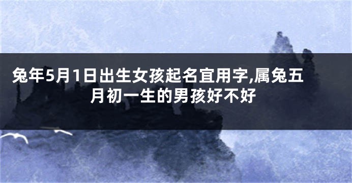 兔年5月1日出生女孩起名宜用字,属兔五月初一生的男孩好不好