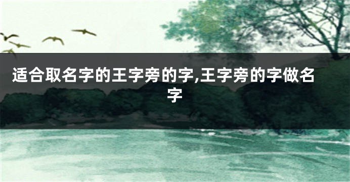 适合取名字的王字旁的字,王字旁的字做名字
