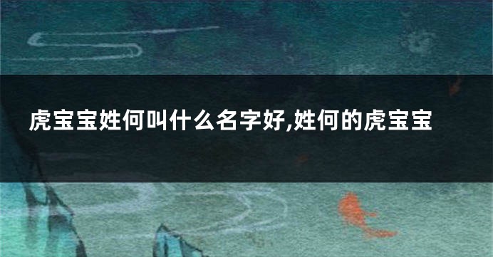 虎宝宝姓何叫什么名字好,姓何的虎宝宝