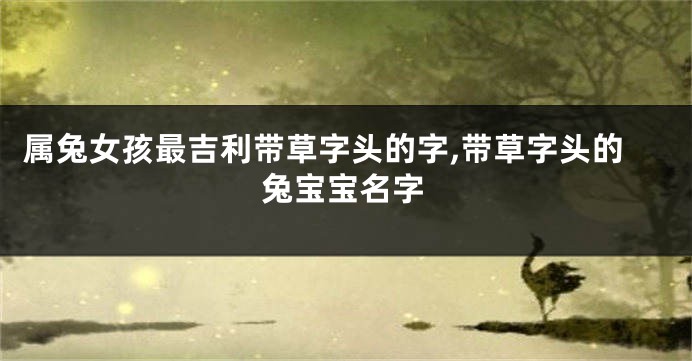 属兔女孩最吉利带草字头的字,带草字头的兔宝宝名字