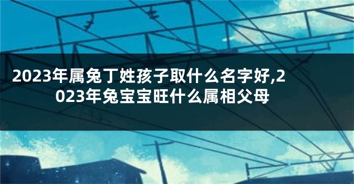 2023年属兔丁姓孩子取什么名字好,2023年兔宝宝旺什么属相父母