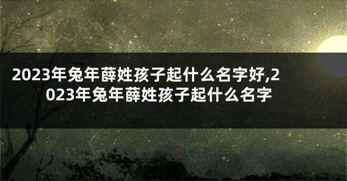 2023年兔年薛姓孩子起什么名字好,2023年兔年薛姓孩子起什么名字