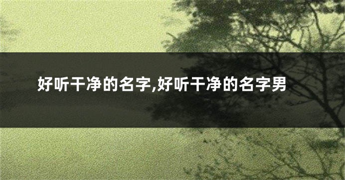 好听干净的名字,好听干净的名字男