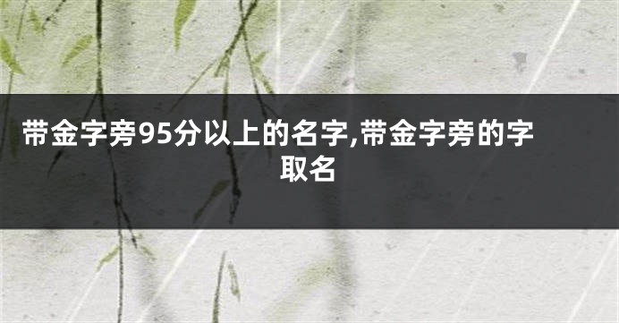 带金字旁95分以上的名字,带金字旁的字取名
