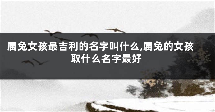 属兔女孩最吉利的名字叫什么,属兔的女孩取什么名字最好