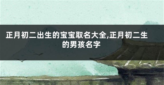 正月初二出生的宝宝取名大全,正月初二生的男孩名字