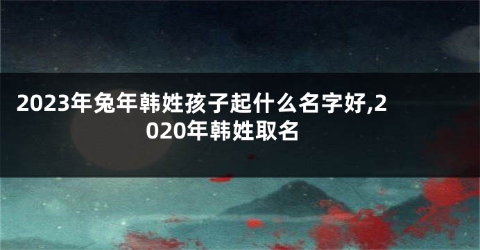 2023年兔年韩姓孩子起什么名字好,2020年韩姓取名