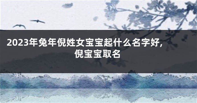 2023年兔年倪姓女宝宝起什么名字好,倪宝宝取名