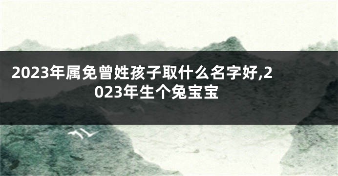 2023年属免曾姓孩子取什么名字好,2023年生个兔宝宝