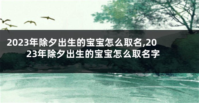 2023年除夕出生的宝宝怎么取名,2023年除夕出生的宝宝怎么取名字