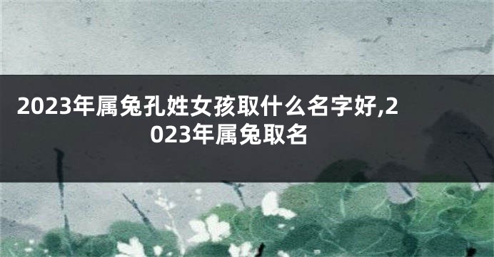 2023年属兔孔姓女孩取什么名字好,2023年属兔取名