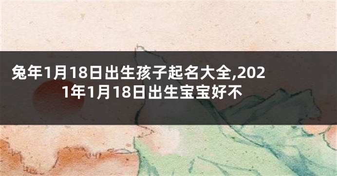 兔年1月18日出生孩子起名大全,2021年1月18日出生宝宝好不