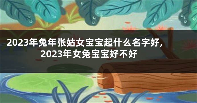 2023年兔年张姑女宝宝起什么名字好,2023年女兔宝宝好不好
