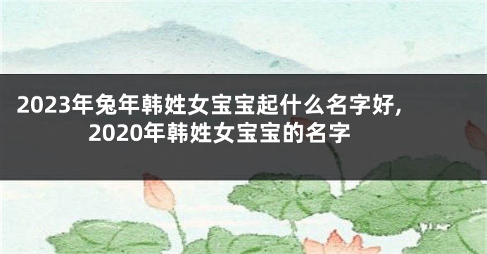 2023年兔年韩姓女宝宝起什么名字好,2020年韩姓女宝宝的名字