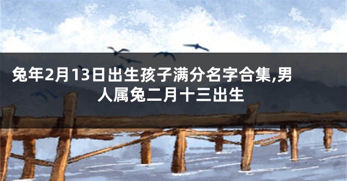 兔年2月13日出生孩子满分名字合集,男人属兔二月十三出生