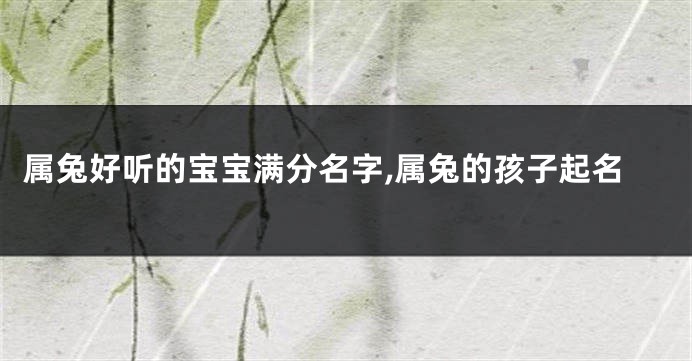 属兔好听的宝宝满分名字,属兔的孩子起名