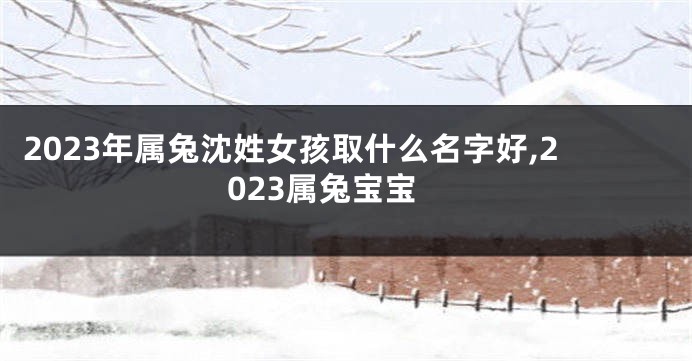 2023年属兔沈姓女孩取什么名字好,2023属兔宝宝
