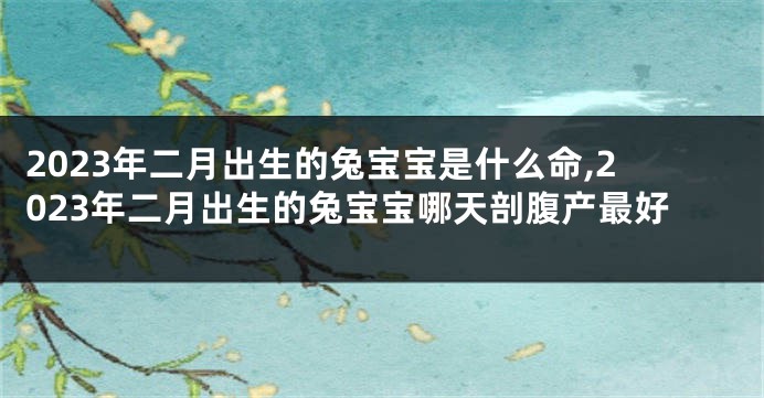 2023年二月出生的兔宝宝是什么命,2023年二月出生的兔宝宝哪天剖腹产最好