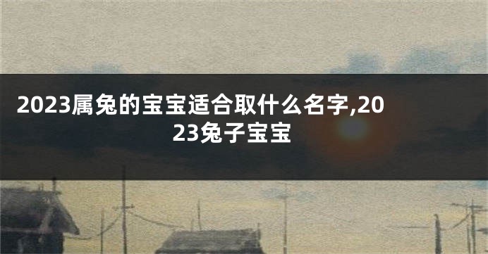 2023属兔的宝宝适合取什么名字,2023兔子宝宝