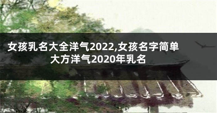 女孩乳名大全洋气2022,女孩名字简单大方洋气2020年乳名