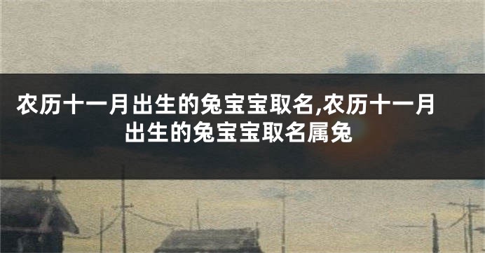 农历十一月出生的兔宝宝取名,农历十一月出生的兔宝宝取名属兔