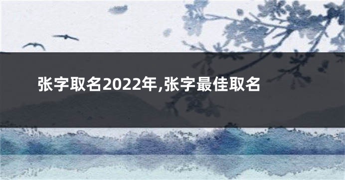 张字取名2022年,张字最佳取名