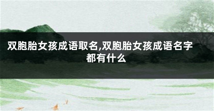 双胞胎女孩成语取名,双胞胎女孩成语名字都有什么