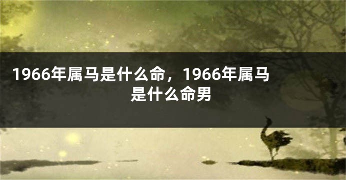 1966年属马是什么命,1966年属马是什么命男