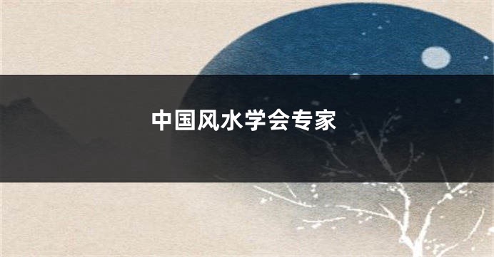 中国风水学会专家