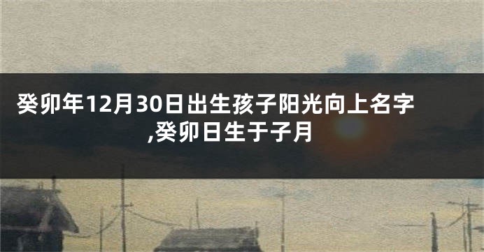 癸卯年12月30日出生孩子阳光向上名字,癸卯日生于子月