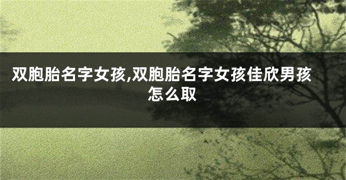 双胞胎名字女孩,双胞胎名字女孩佳欣男孩怎么取