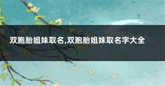 双胞胎姐妹取名,双胞胎姐妹取名字大全
