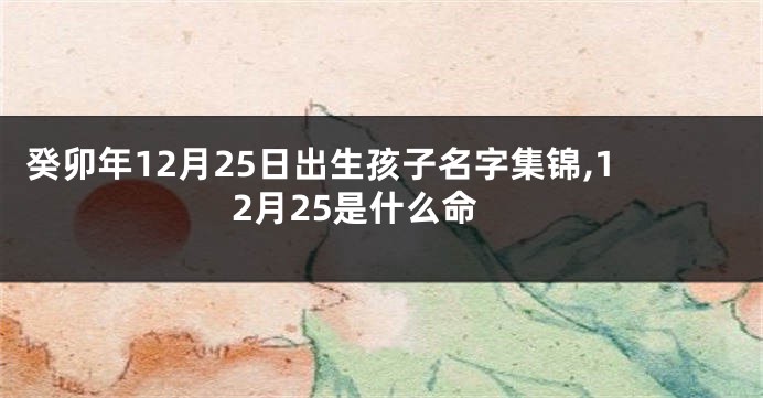 癸卯年12月25日出生孩子名字集锦,12月25是什么命