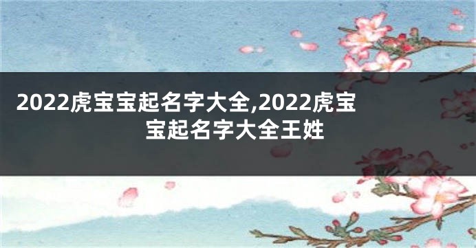 2022虎宝宝起名字大全,2022虎宝宝起名字大全王姓