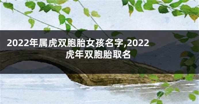 2022年属虎双胞胎女孩名字,2022虎年双胞胎取名