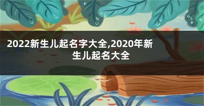 2022新生儿起名字大全,2020年新生儿起名大全