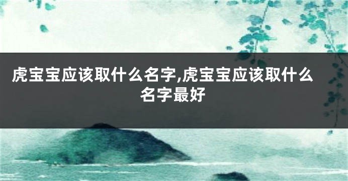 虎宝宝应该取什么名字,虎宝宝应该取什么名字最好