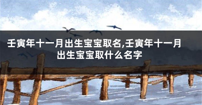 壬寅年十一月出生宝宝取名,壬寅年十一月出生宝宝取什么名字
