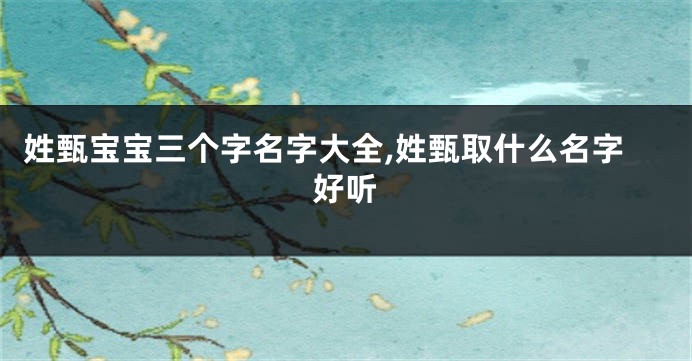 姓甄宝宝三个字名字大全,姓甄取什么名字好听