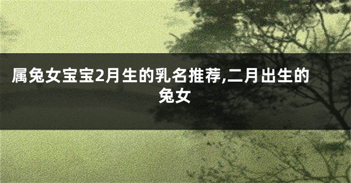 属兔女宝宝2月生的乳名推荐,二月出生的兔女