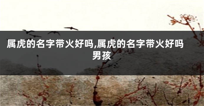 属虎的名字带火好吗,属虎的名字带火好吗男孩