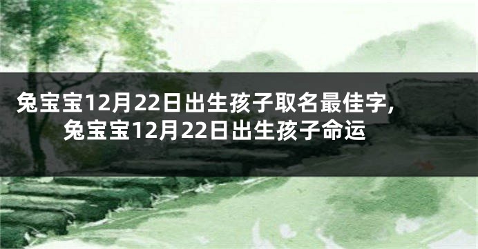 兔宝宝12月22日出生孩子取名最佳字,兔宝宝12月22日出生孩子命运