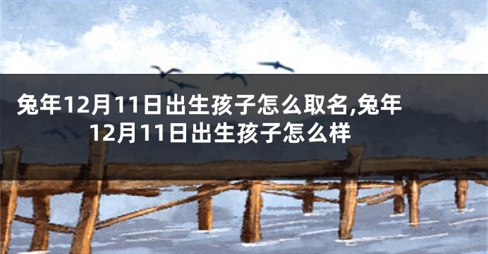 兔年12月11日出生孩子怎么取名,兔年12月11日出生孩子怎么样