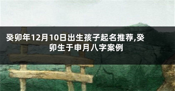 癸卯年12月10日出生孩子起名推荐,癸卯生于申月八字案例