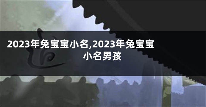 2023年兔宝宝小名,2023年兔宝宝小名男孩