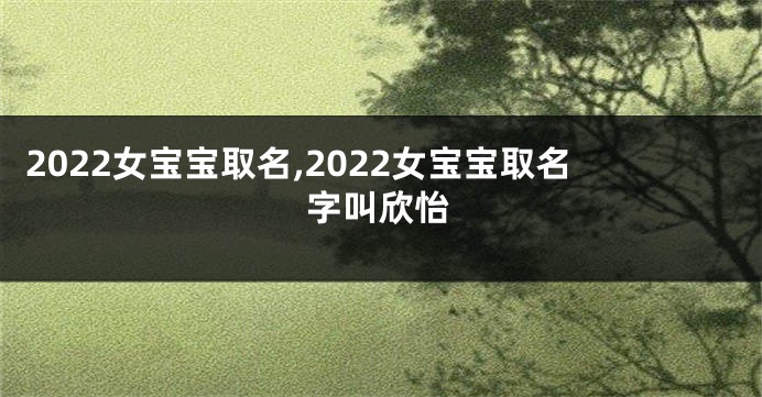 2022女宝宝取名,2022女宝宝取名字叫欣怡