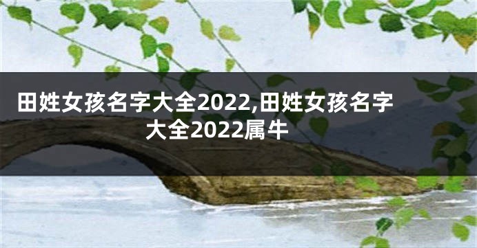 田姓女孩名字大全2022,田姓女孩名字大全2022属牛
