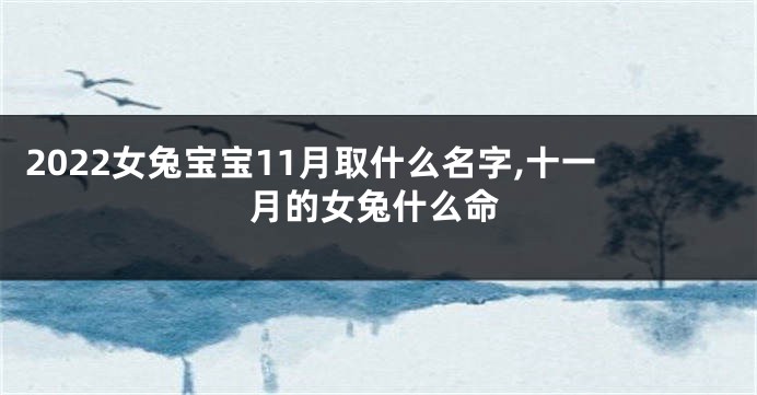 2022女兔宝宝11月取什么名字,十一月的女兔什么命
